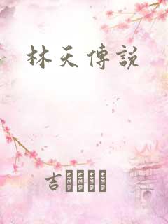 林天传说