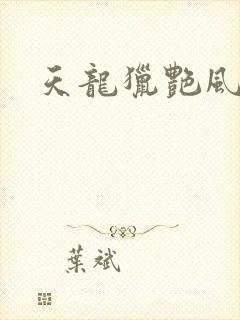 天龙猎艳风流