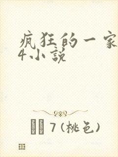 疯狂的一家PS4小说