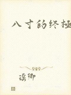 八寸的终极凶器