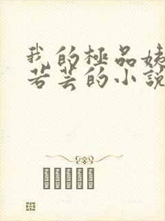 我的极品姨妈柳若芸的小说在线