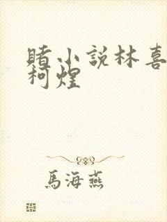 赌小说林喜朝和柯煜