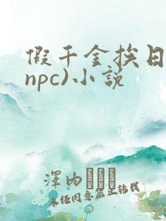 假千金挨日记(npc)小说