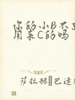 你的小B不就是用来C的吗