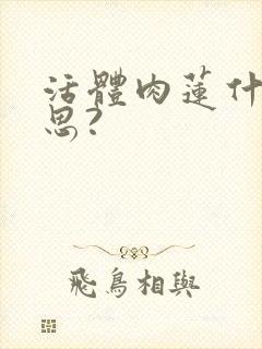 活体肉莲什么意思?