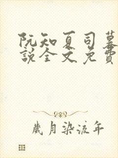 阮知夏司暮寒小说全文免费