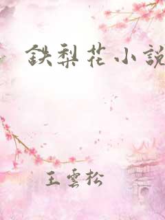 铁梨花小说