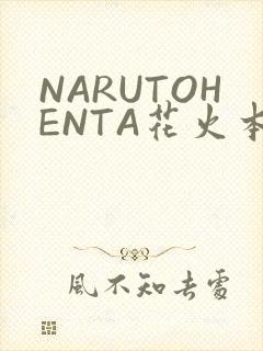 NARUTOHENTA花火本子