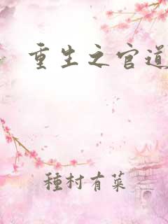 重生之官道吧