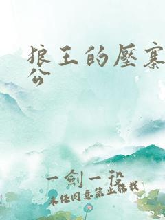 狼王的压寨小相公