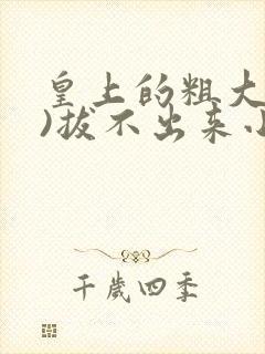 皇上的粗大(h)拔不出来小说