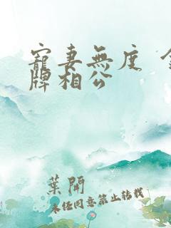 宠妻无度  金牌相公