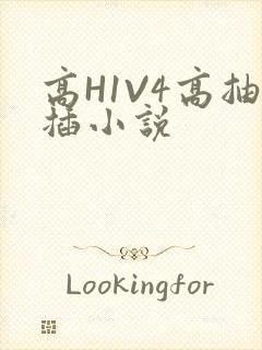 高H1V4高抽插小说