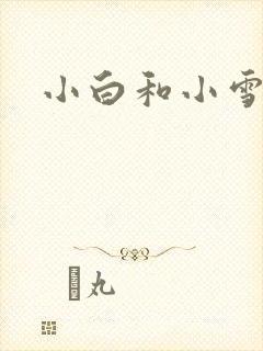 小白和小雪