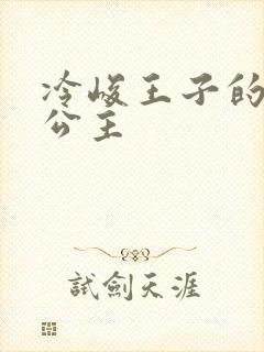 冷峻王子的完美公主