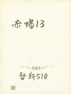 赤蝎13