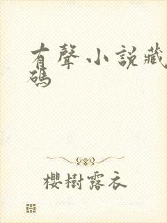 有声小说藏地密码