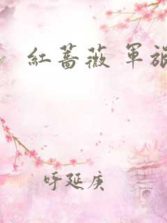 红蔷薇 军旅文