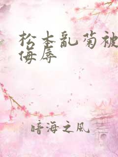 松本乱菊被死神侮辱