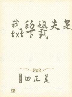 我的姐夫是太子txt下载