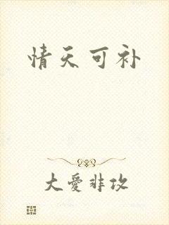 情天可补