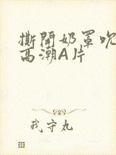 撕开奶罩吮奶头高潮A片