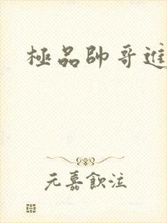 极品帅哥进化史