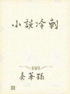 小说冷刺