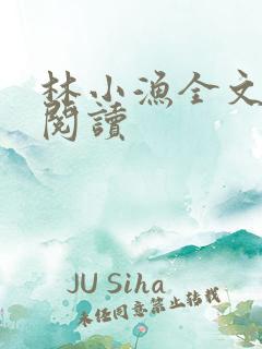 林小渔全文免费阅读