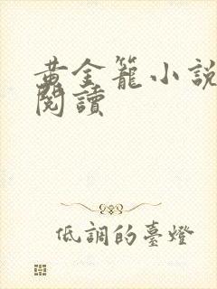 黄金笼小说免费阅读