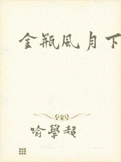 金瓶风月下载