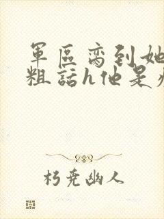 军区脔到她哭h粗话h他是疯批