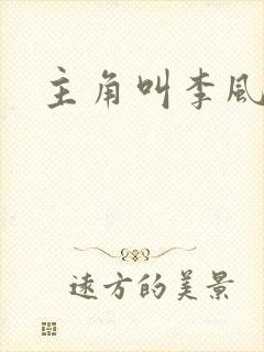 主角叫李风起