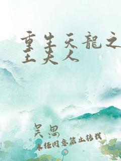 重生天龙之推倒王夫人