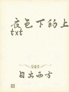 夜色下的上海滩txt