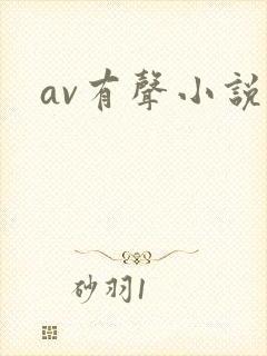 av有声小说