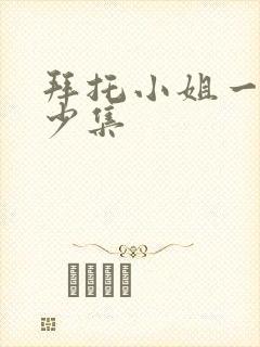 拜托小姐一共多少集