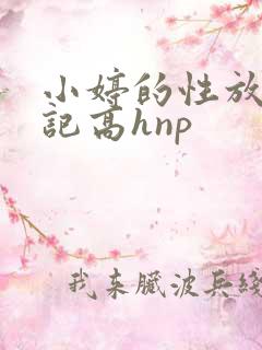 小婷的性放荡日记高hnp