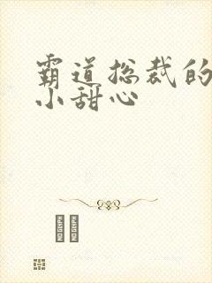 霸道总裁的宠爱小甜心