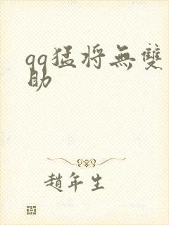 qq猛将无双辅助