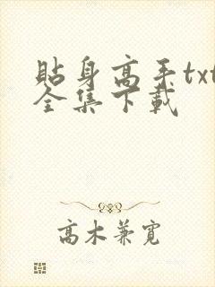 贴身高手txt全集下载