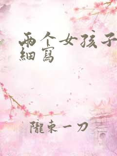 两个女孩子开车细写