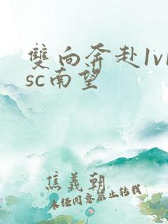 双向奔赴1v1sc南望