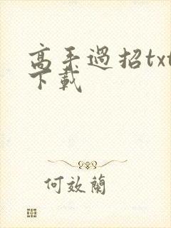 高手过招txt下载