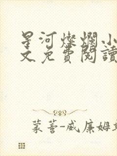 星河灿烂小说全文免费阅读