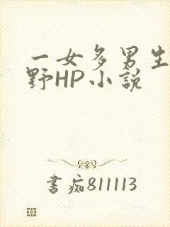 一女多男生活狂野HP小说