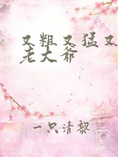 又粗又猛又大爽老大爷