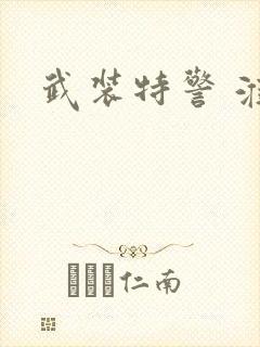 武装特警 淮上