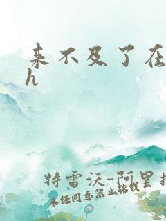 来不及了在车ch