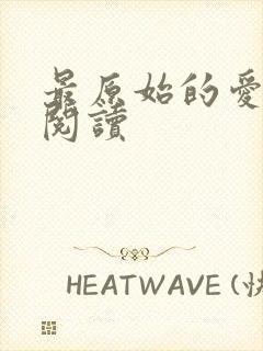 最原始的爱全文阅读